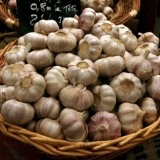 Kako obraditi bijeli luk u jesen prije sadnje